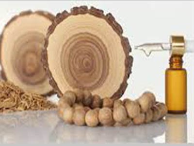 sandal_oil