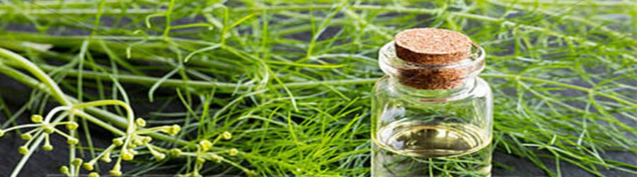Fennel_oil