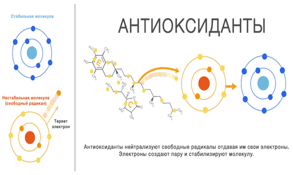 antioxidants_1