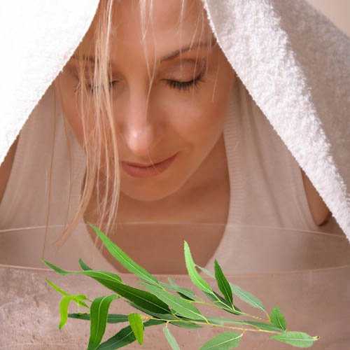 eucalyptus_for_inhalation Інгаляції_Олія екваліпт Нефертіті