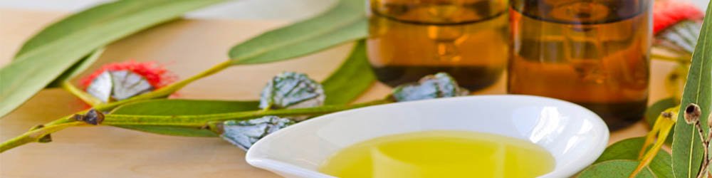 eucalyptus_oil_1 Олія екваліпт Нефертіті