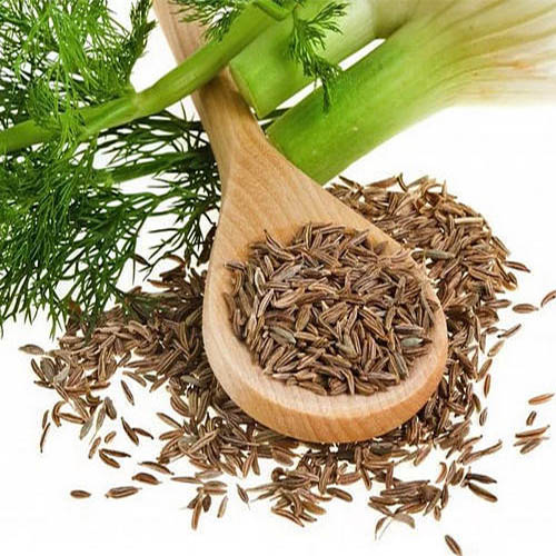 fenhel_plant_seed