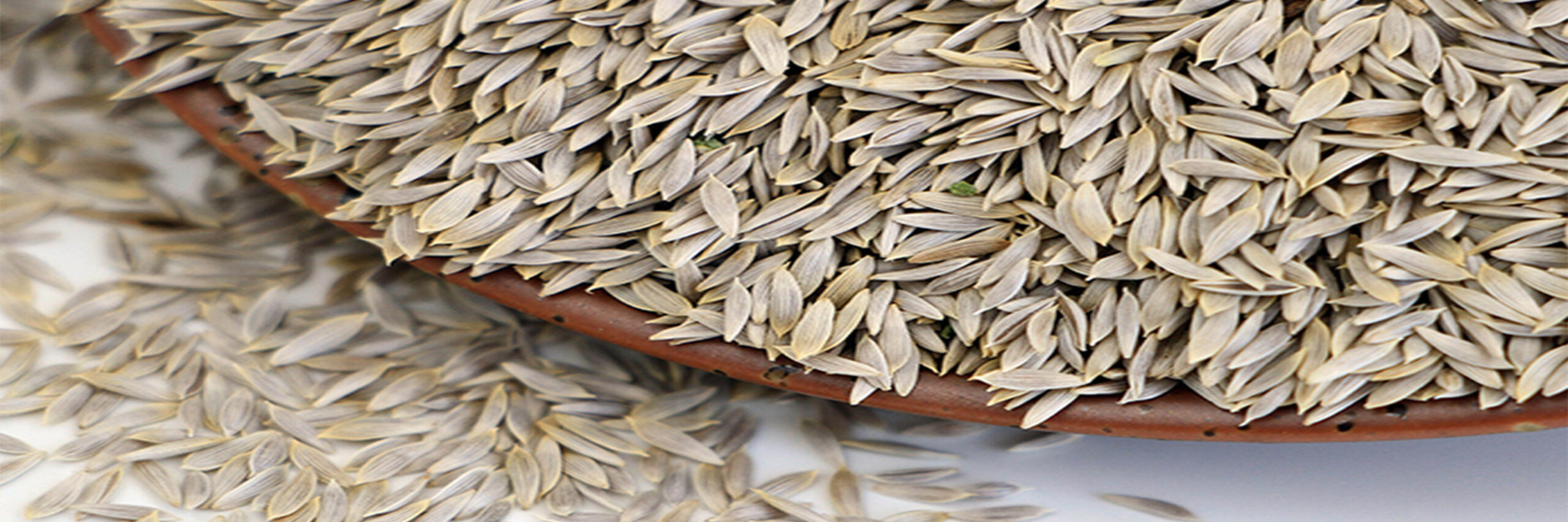 Lettuce_Seeds_1 Семена латука