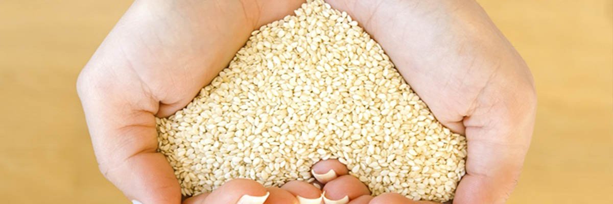 sesame_seeds_3