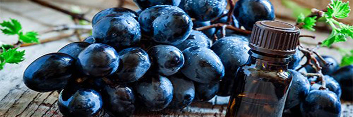 grape_blue_1
