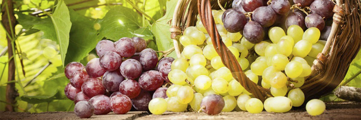 grape_pink_yel