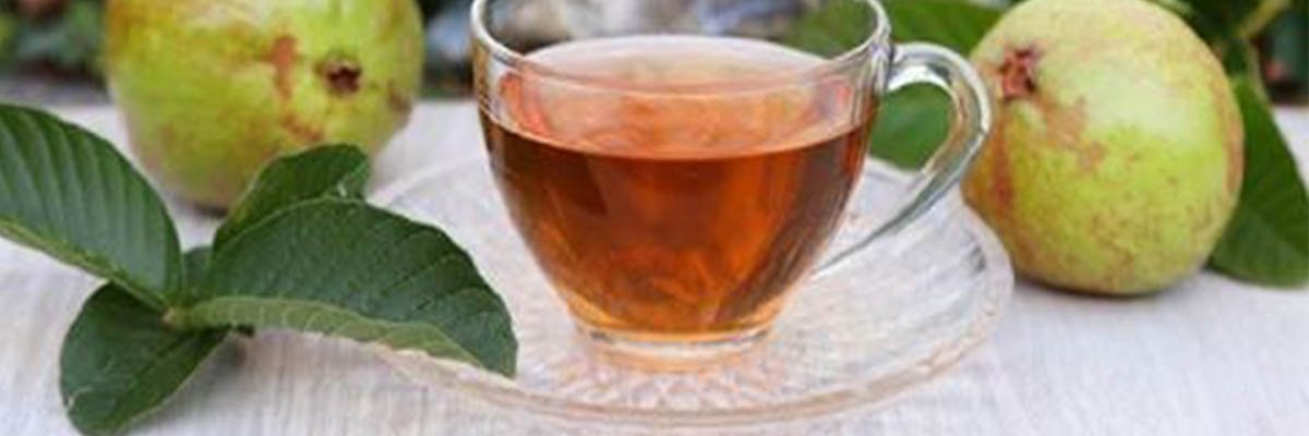 guava-leaves-tea