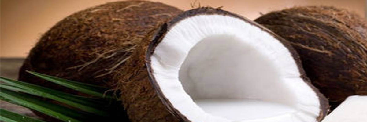 coconut_8