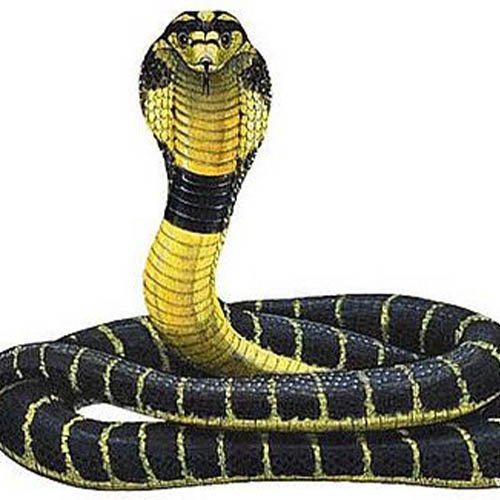 1.6