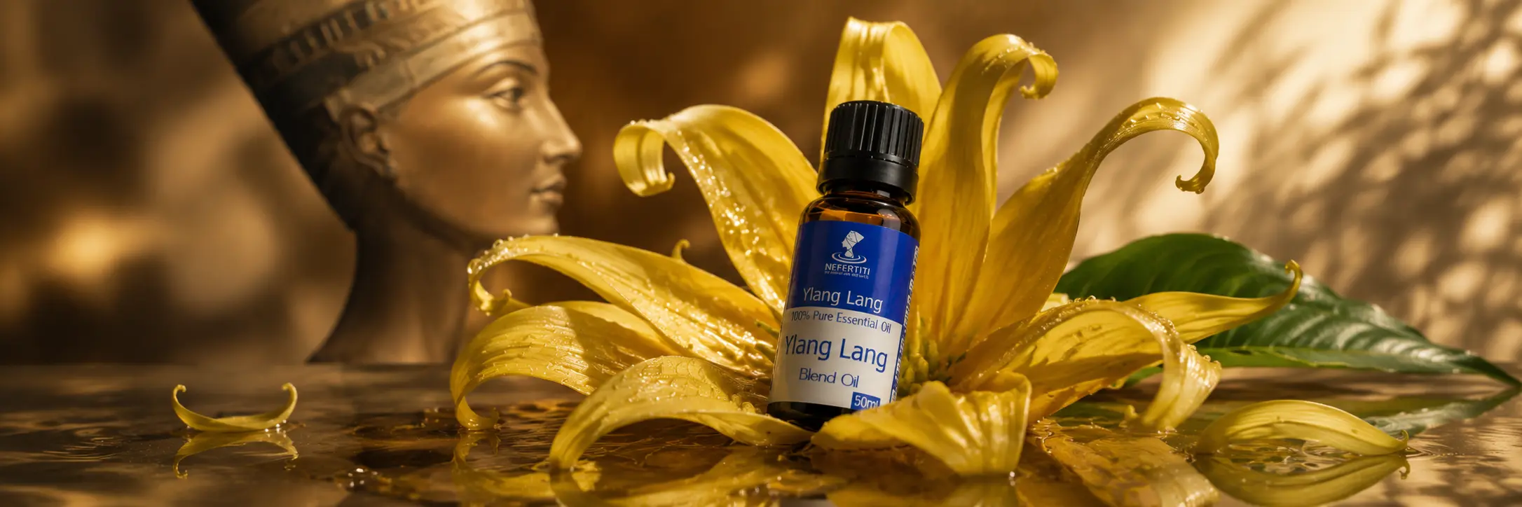 Ylang-ylang oil Ylang-ylang oil