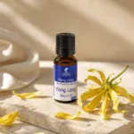 Ylang Ylang Nefertiti oils from Egypt