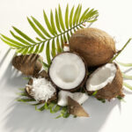 Набор Coconut — изображение 2