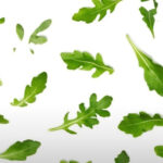 Набір Arugula Seed з маскою для волосся - Зображення 2