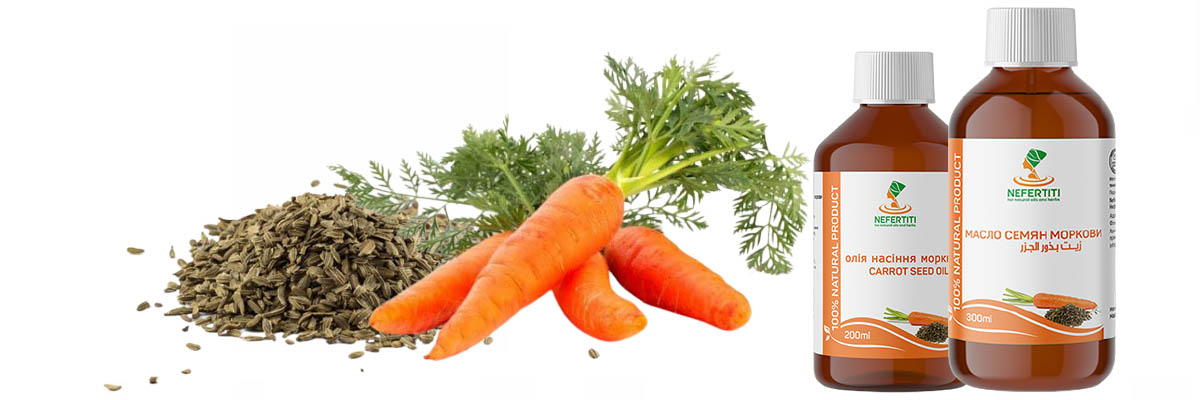 carrot