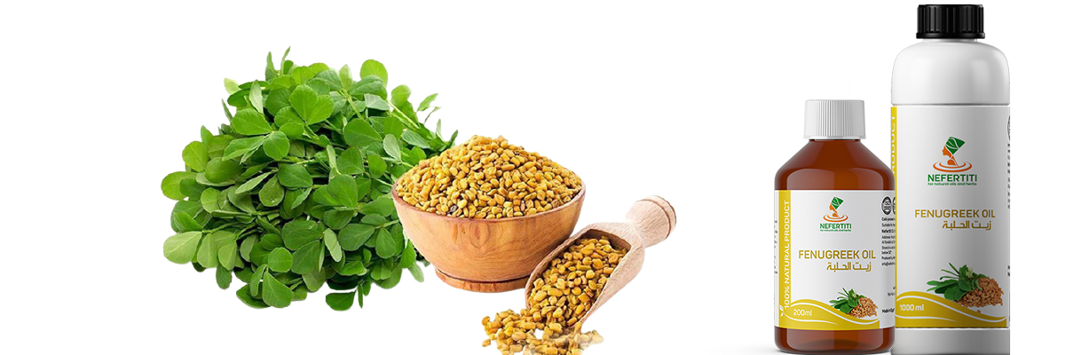 fenugreek