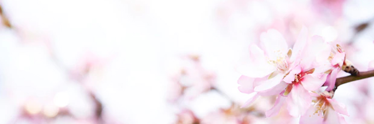 Almond_oil_10