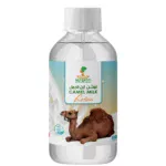 Cream lotion camel milk Nefertiti