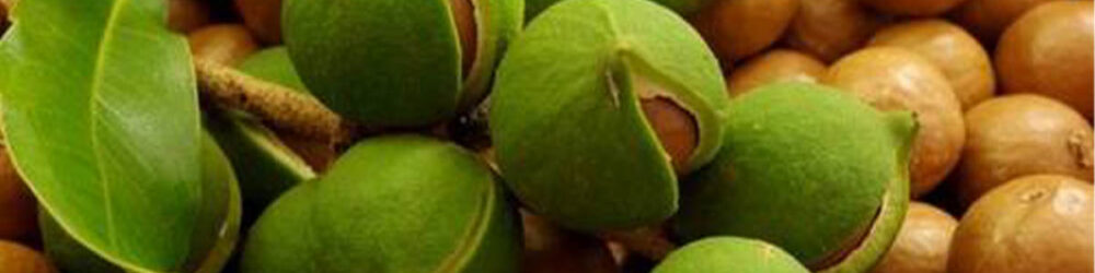 argan_ argan_