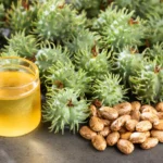 castor oil fruits