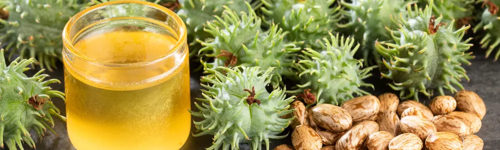 castor oil castor oil