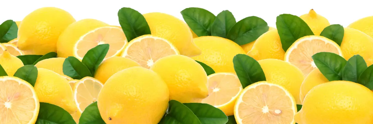 Lemons Car-Freshener__Nefertiti Lemons Car-Freshener__Nefertiti