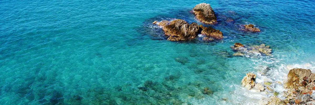 Sea-shore Nefertiti-oliya Sea-shore Nefertiti-oliya