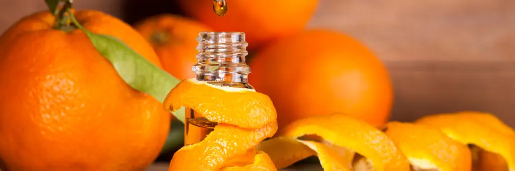 Orange Oil in the Car – Nefertiti Orange Oil in the Car – Nefertiti