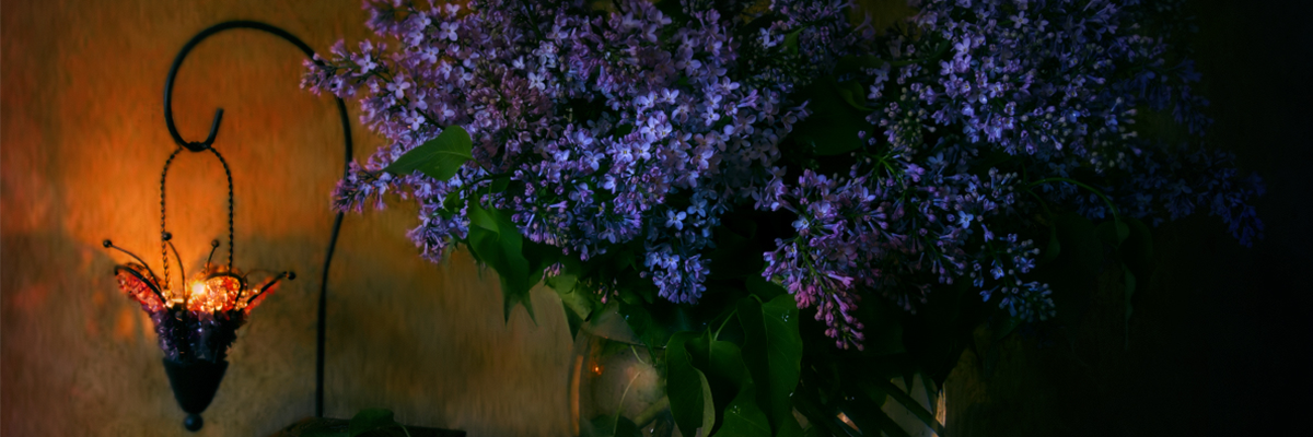 Lilac-night