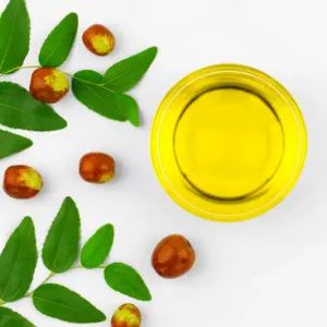 Jojoba oil Nefertiti oils